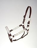 Royal King Silver Ferrules Show Halter