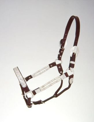 Royal King Silver Ferrules Show Halter
