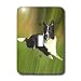 Dogs Border Collie - Border Collie - Light Switch Covers - single toggle switch