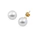 14K Yellow Gold 12 MM Paspaley South Sea Cultured Pearl Earring Studs