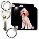 Pink Poodle - Set Of 4 Key Chains