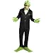 Muppets Kermit The Frog Costume And Mask