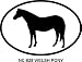 Welsh Pony Oval Bumper Sticker