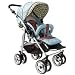 2006 Flyer Single Stroller in Cosmo
