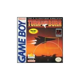 Turn And Burn The F-14 Dogfight Simulator
