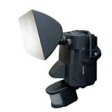 Smart Solar 10-Watt Halogen Motion Light