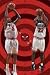 Chicago Bulls, Art Poster