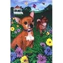 Chihuahua House Flag by GR8 Dogs (Multi, 25 x 38 )