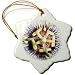 Christs Crown - flower, passion flower, purple, nature, passiflora, easter, christs thorn - 3 Inch Snowflake Porcelain Ornament