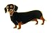 dachshund22 - Sausage dog or Dachshund brooch