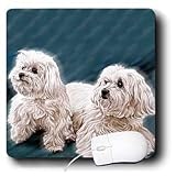 image link - - B000EGCC06