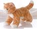 Plush Tangerine Orange Tiger Cat 12"