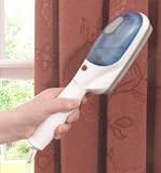 Kitchen & Housewares : Steam Brush