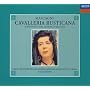 �}�X�J�[�j:�J���@�����A�E���X�e�B�J�[�i �S��