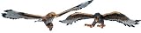 Eigenschaften Games Workshop / MailOrder Riesenadler (klein) Wareagle 990602040
