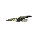 Threadart Machine Embroidery Design Bundles - Animal Sets - Birds(1) - Loaded On USB Stick - Over 30 Sets Available