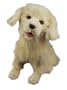Scamps My Playful Pup  Golden Lab