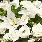 Pure White