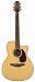 Musical Instruments : Takamine TAN76C OM Cutaway Acoustic-Electric Guitar