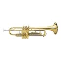 Austin Bazaar B Flat Yellow Brass Trumpet with Case