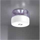 Buy Bisquit PL2 Ceiling Bulb Finish: Fluorescent Brushed Nickel by Leucos