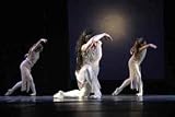 Adagio Dance Flooring