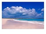 Pink Sand Beach, Harbour Island, Bahamas Photographic Poster Print by Greg Johnston, 24x18