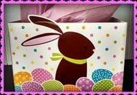Easter Bunny Gift Box