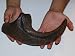 Allosaurus Fragilis Claw Replica