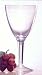 Forever Polycarbonate 14 Oz All-purpose Stem