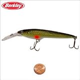 Berkley Frenzy Diving Minnow Medium Moyer (FM10-M-GSH)