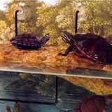Zoo Med Turtle Dock