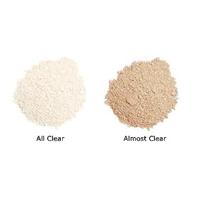 Colorescience Sunforgettable Brush sunscreen protection