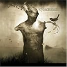 Ashes to Embers