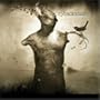 Ashes to Embers