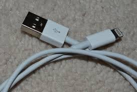 Lightning to USB Cable