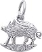 Boar Charm by Rembrandt Charms