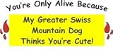You're Only Alive Because My Greater Swiss Mountain Dog Thinks You're Cute! Totebag (Natural)