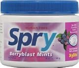 Xlear Spry Berryblast Mints, 240 Pieces