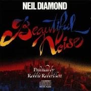 Beautiful Noise