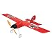 GWS SlowStick is our pick of Beginner RC Planes