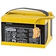 Peg Perego 24 Volt Replacement Battery for Peg Perego Vehicles