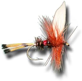 Royal Coachman Fly Fishing Fly