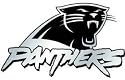 Carolina Panthers Silver Auto Emblem