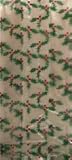 1 Pound Holly Print Cello Bag