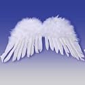 Children's White FEATHER ANGEL WINGS From US Toy List Price:	$14.99 Price:	$7.94 & eligible for FREE Super Saver Shipping on orders over $25