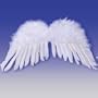 Children's White FEATHER ANGEL WINGS