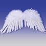 Children's White FEATHER ANGEL WINGS