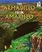 Armadillo from Amarillo