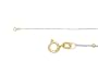 10 Inches Ankle Bracelet in 14 kt Two Tone Gold